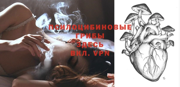 скорость Лиски