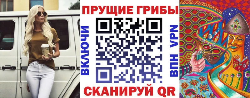 Псилоцибиновые грибы Cubensis  Купить  Магнитогорск 
